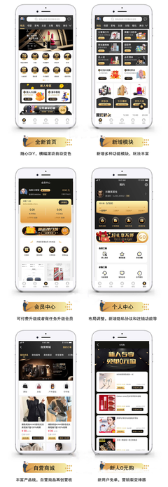 原生獨立定制開發(fā)淘客APP